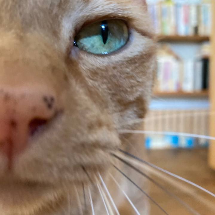 Eeed0855 cc51 40be 8fa7 3aa8f7c3fd2d 1635901897731