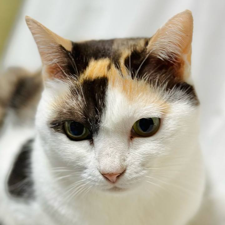 Eeed2fcf ecd2 404c 84c8 adf10fe5b813 1698454829672