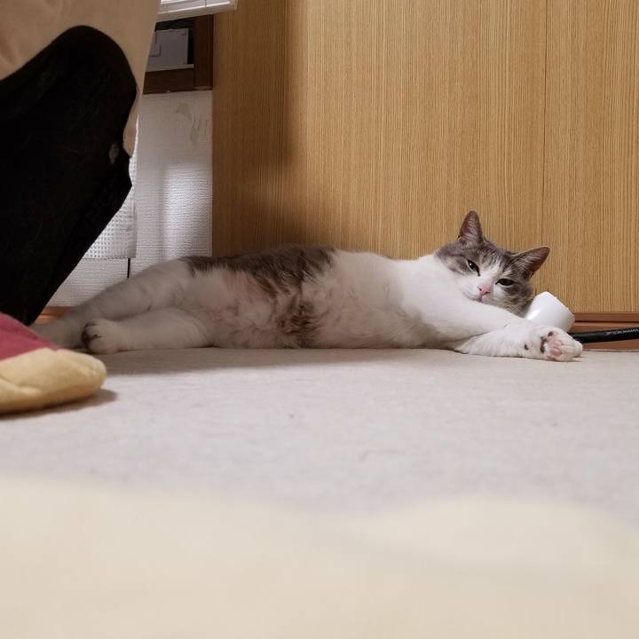 Eeed3b5f ef98 4757 adeb 48a669e785f1 1619867971310