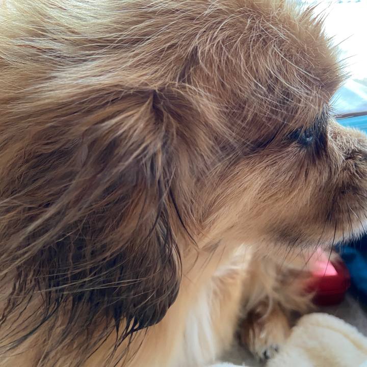 Eeed5799 0520 446e 9d54 f38a3fafda5a 1624148741168