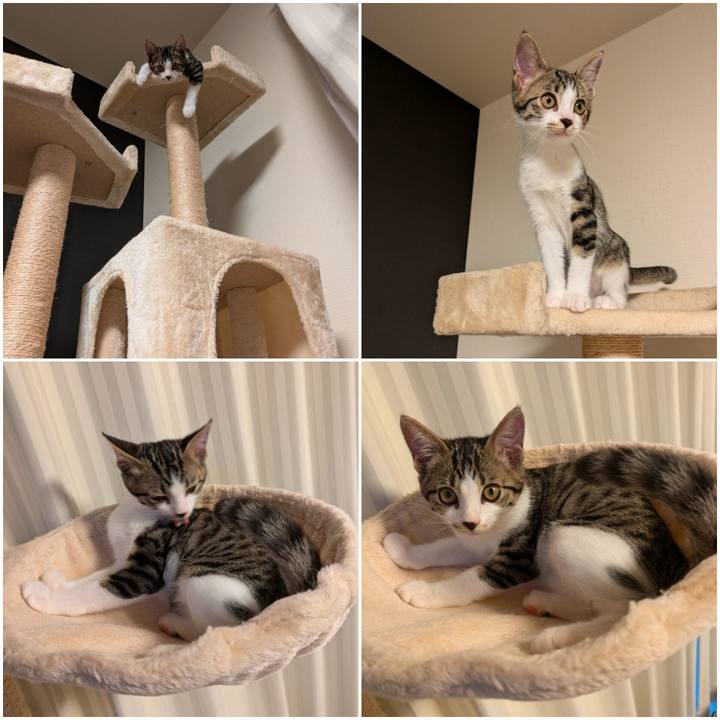 Eeed68f8 e71a 4802 aac1 7849bac40473 1722581595057