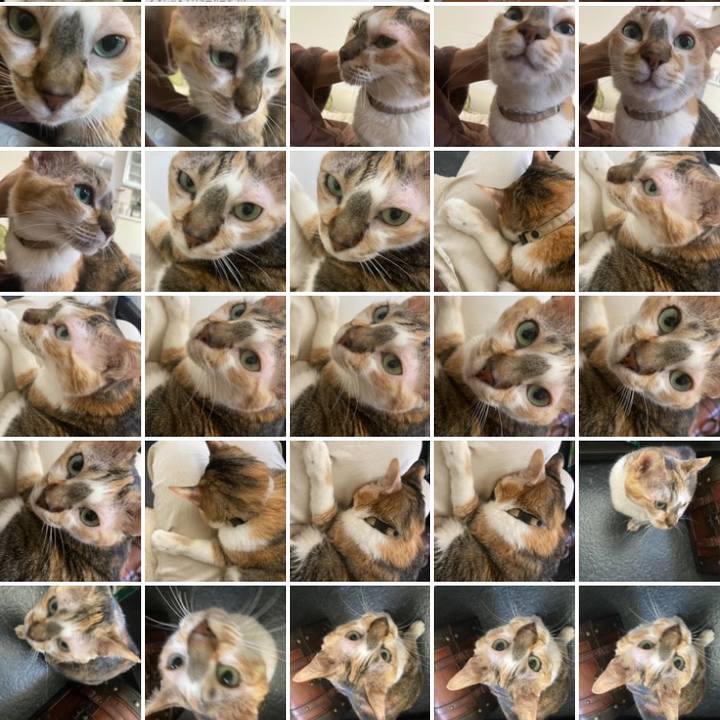 Eeed7a74 c741 4da7 bd43 fff7dcd87790 1682560123593