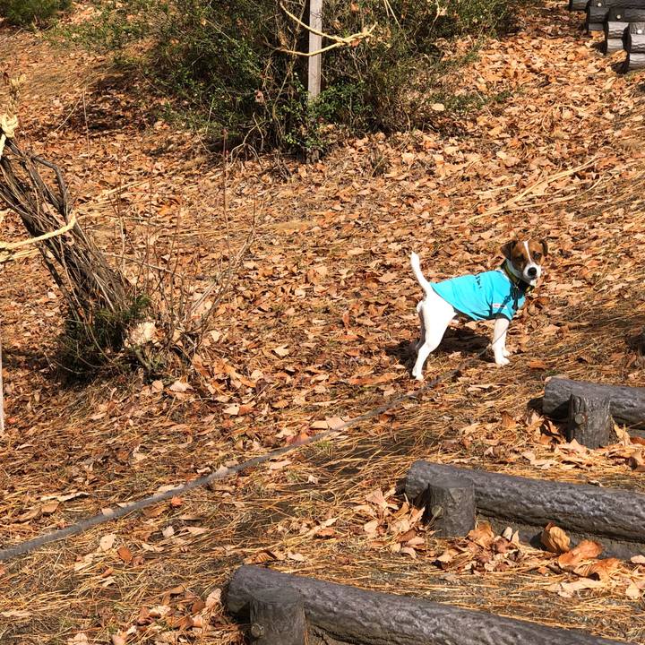 Eeedaff3 c948 4451 8c4a 76191471ebbe 1543661957757