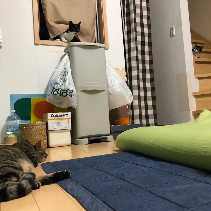 Eeedbd1c 904e 485a 8c4d 3d2e350f4e5f 1531186129662