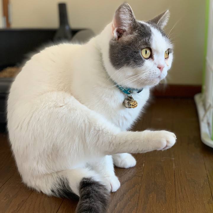 Eeedc45e fc61 429c 85ff 08c09e856623 1647826951889