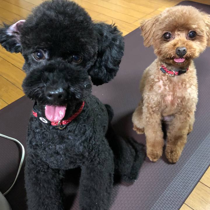 Eeedded1 df9f 475c a5bd af88bad35a05 1562419036881