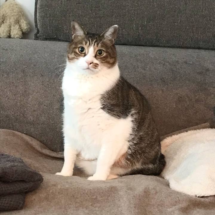 Eeededa5 816f 478e b898 d262ed167413 1608514908997