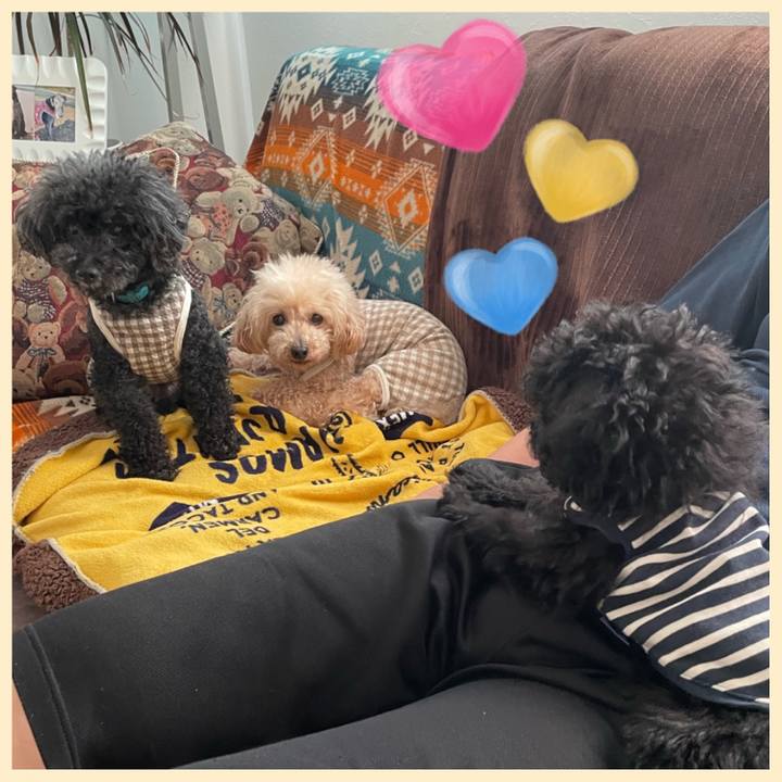 Eeee0d7a 6537 4371 855d d6a27425b8ab 1680736852601