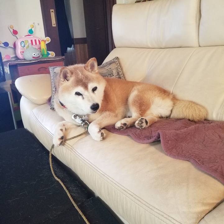 Eeee3d1c 8669 4f4b 8967 824c088ee795 1724802228515