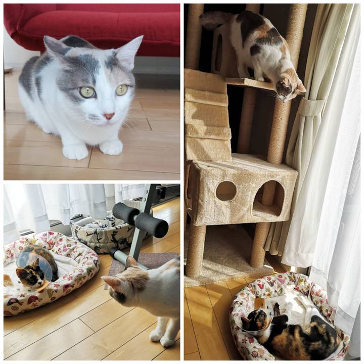 Eeee59f4 f35a 4daa bc88 5141cd7be0b1 1601628289929