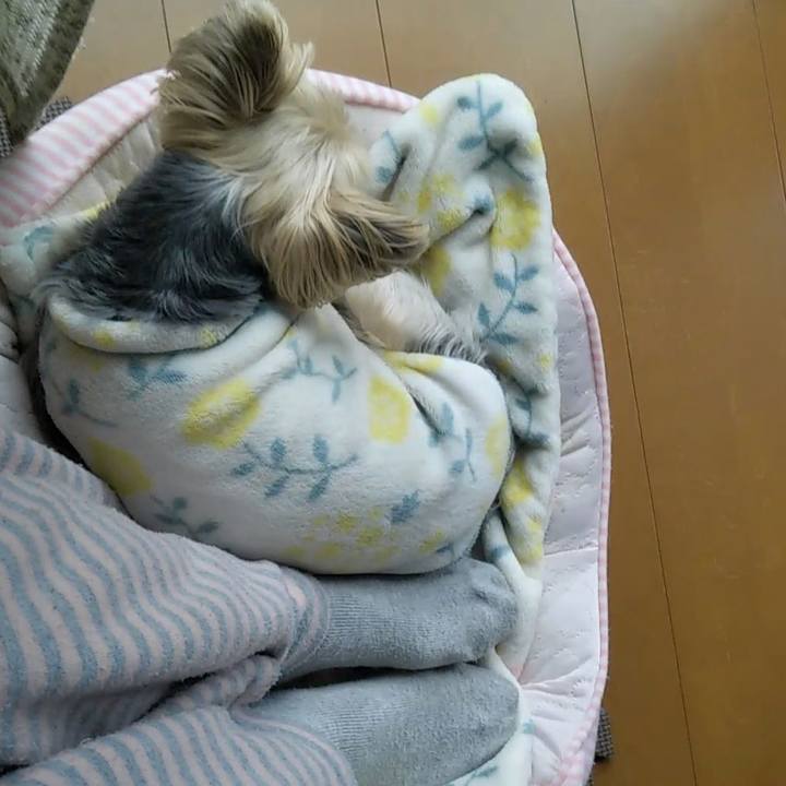 Eeee5b32 5bb2 4b94 8959 e4701d5c2531 1709424718079