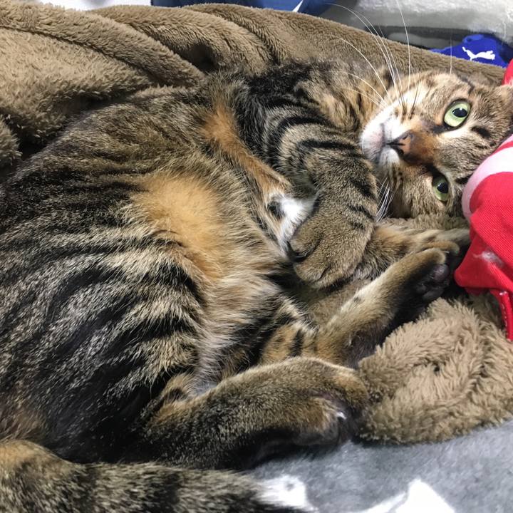 Eeee5e2e 2fef 479a 88d5 4a43877acac4 1553262815302