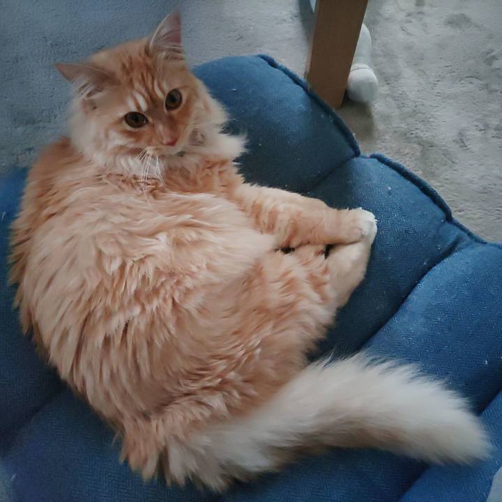 Eeee77fb ac8c 445d 8e31 eca3fcd3017c 1654160598788