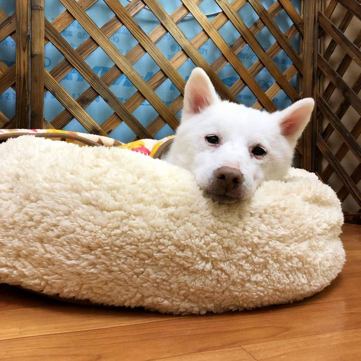 Eeeea02a 3127 47c4 8baf 501340c8f027 1574600044418