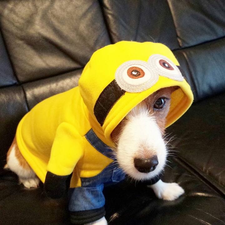 Eeeeaafa 7e26 4187 8a72 41d12f66dd64 1509578149686