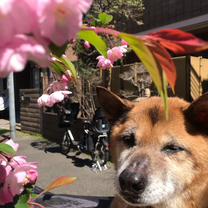 Eeeeb414 603a 4ee4 afdb 5993cec0c754 1554081932508