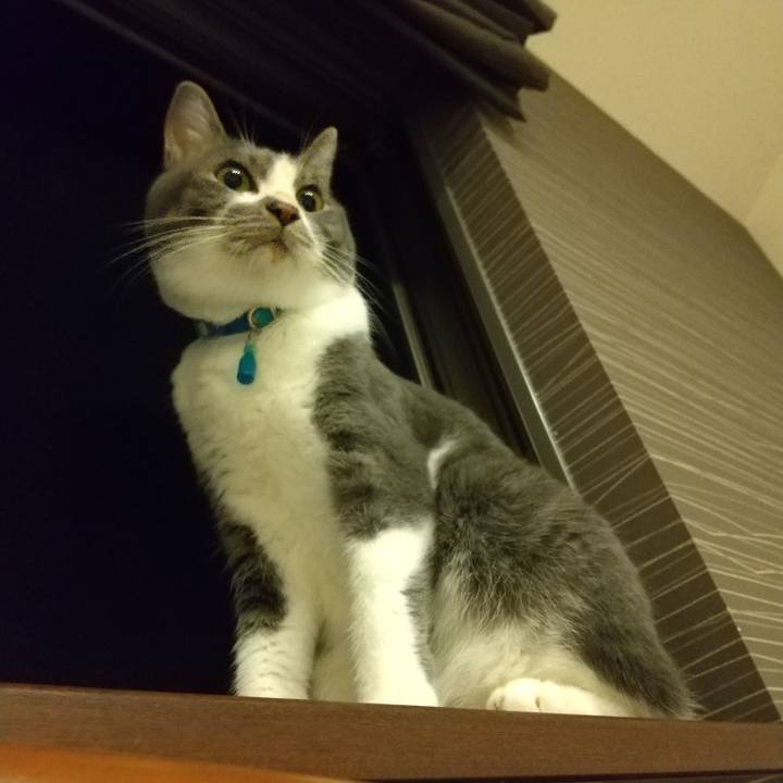 Eeeec714 6d25 4b18 98d8 2257bc842c52 1626954336038