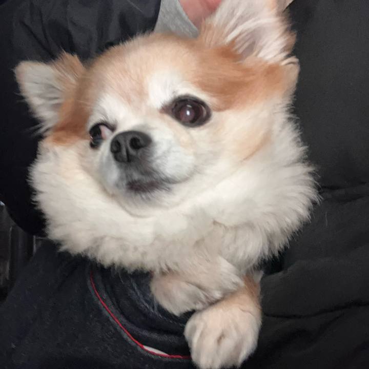 Eeeeebc7 8233 4823 a3a8 94ab06ed0ff3 1766837057517