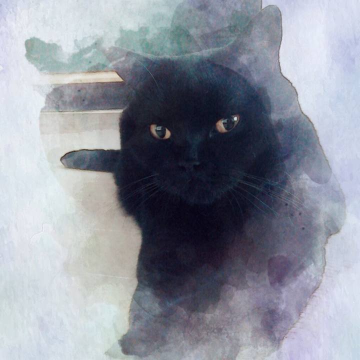 Eeeef2ba af74 4b65 9688 db0d5dec445f 1537270186535