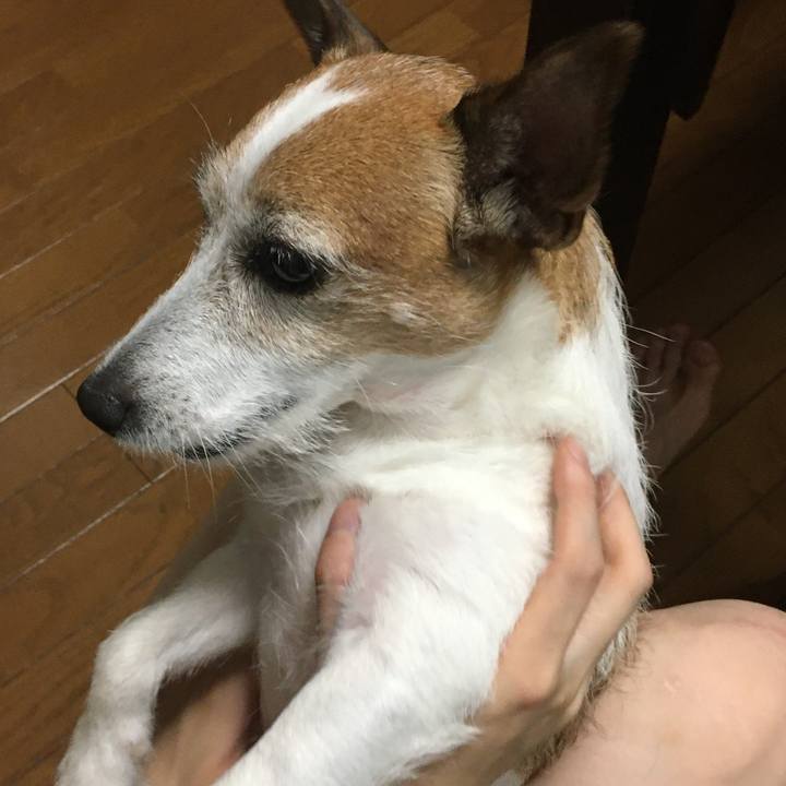 Eeef100a afa0 4986 9268 b960be90e9e4 1629415904290