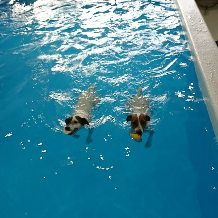 Eeef1199 0bc2 43a3 9566 4f68b77b0092 1565512830053