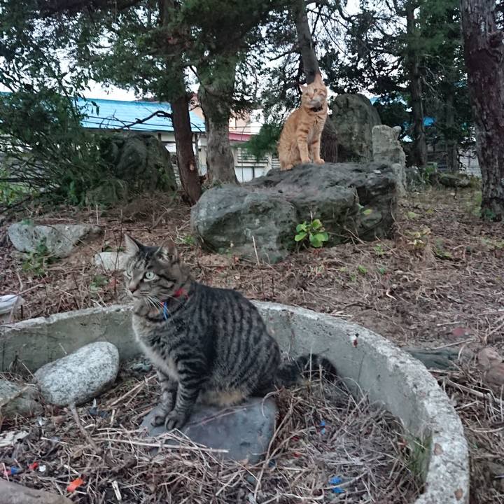 Eeef7b66 4f95 4098 af88 f0d4b85ce0f3 1659953383719