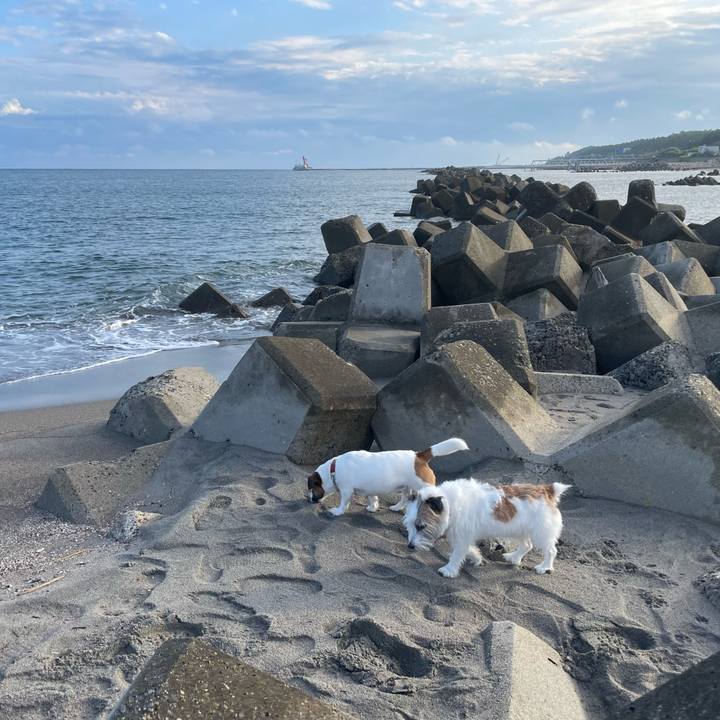 Eeef7c23 abca 482b b4b6 686ea02f2891 1759285413664