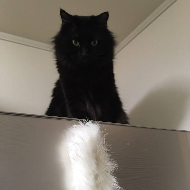 Eeef8978 8525 4090 95c9 138e87f087ec 1513762617107