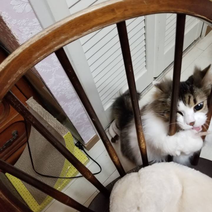 Eeef9c79 fae1 4465 8e6c 2f6e9648dadf 1552348452619