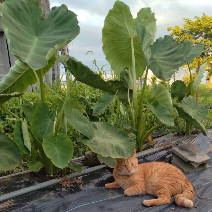 Eeefa4f2 3604 4742 aa28 a41a641283d1 1720693708937