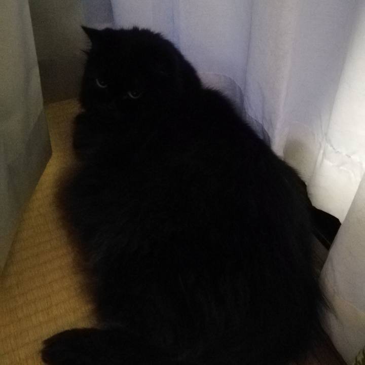 Eeefc542 0afa 4a9c bdfa bfc24e6e1ca4 1535546395813