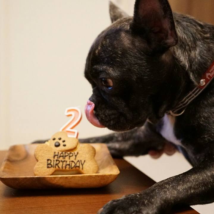 Eeefcd02 39ca 4e80 87cf 564fd606802d 1539086162341