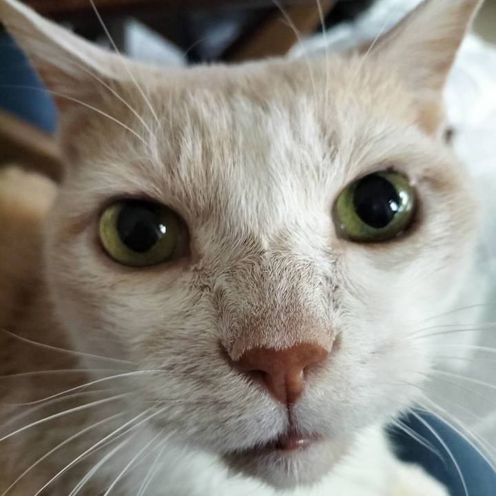 Eeefe1d0 07e7 4c03 b8ae c40623f76110 1706998892703