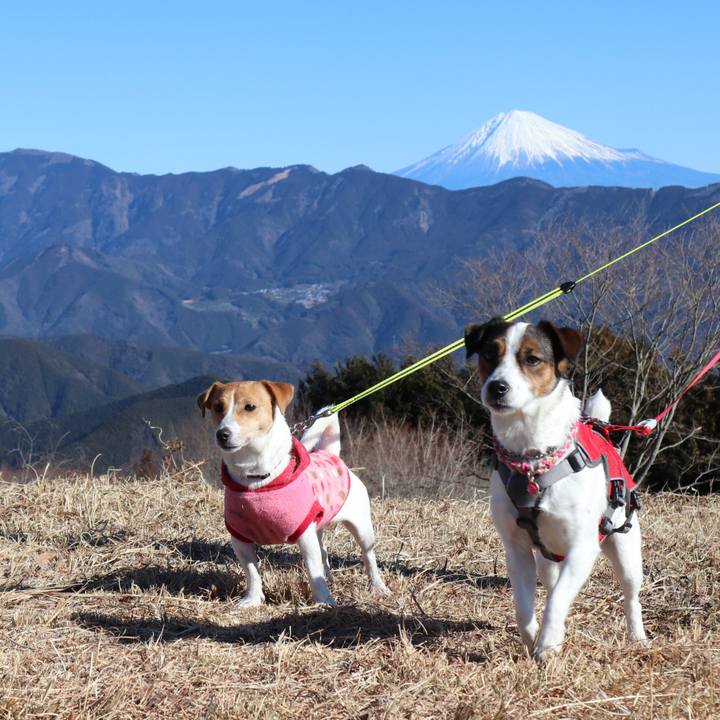 Eeeffdc8 db9a 4cef 930d 734d53b946ec 1515907923387