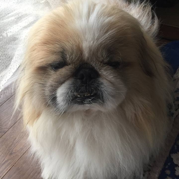 Eef0156a 8e48 4595 b236 59a727f3cf75 1554014351470