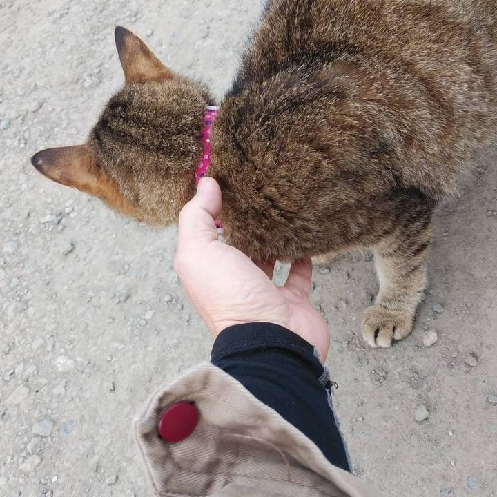 Eef02370 ff61 4507 93e4 bb6c9a2c5432 1603758527483