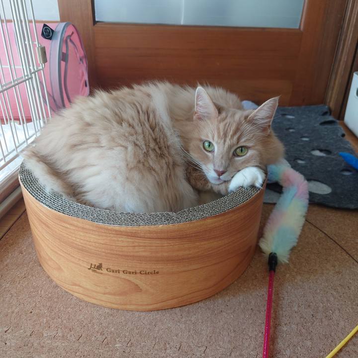 Eef02dd1 aa09 4e2f afb9 c8485aff8744 1697943888484