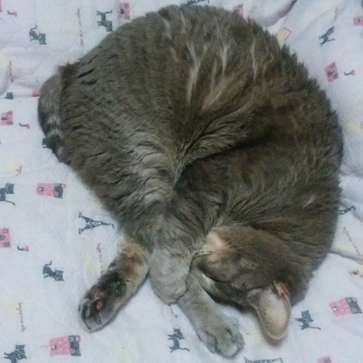 Eef052a0 2ec6 41de b24a 9f4d066e9c6d 1556232050314