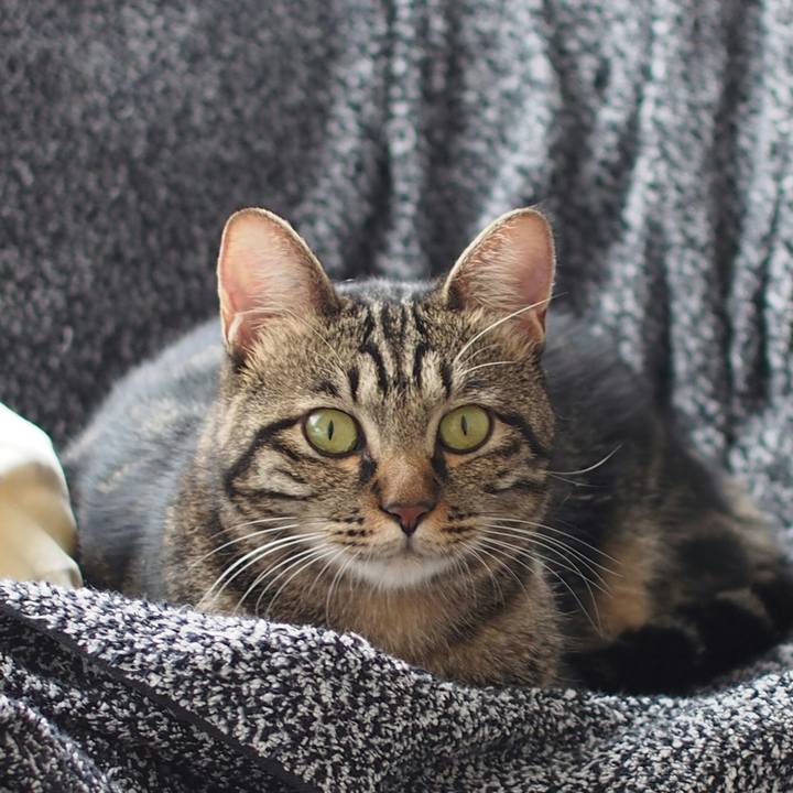 Eef0ea45 b2fb 47ca bfa9 980ab426adf6 1538449122889