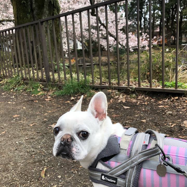 Eef11d38 bd45 4d88 9cdf 8966326cd992 1648269630649