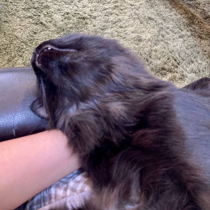 Eef147a5 9a99 4a59 8861 b078f2f076e9 1747830754544