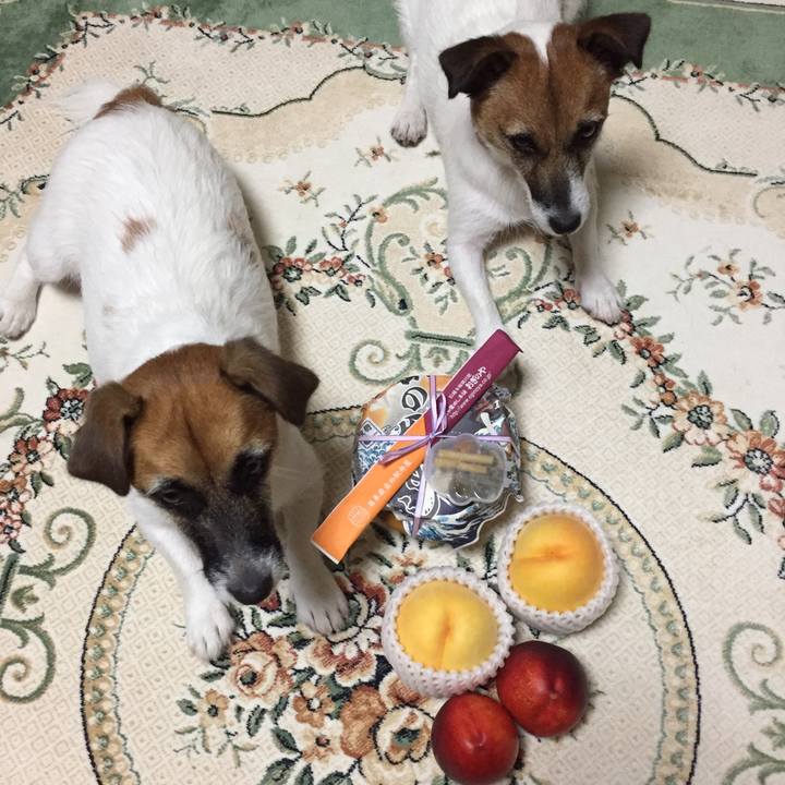 Eef187c3 2be0 4407 ba33 8e714d7fb255 1535456804240