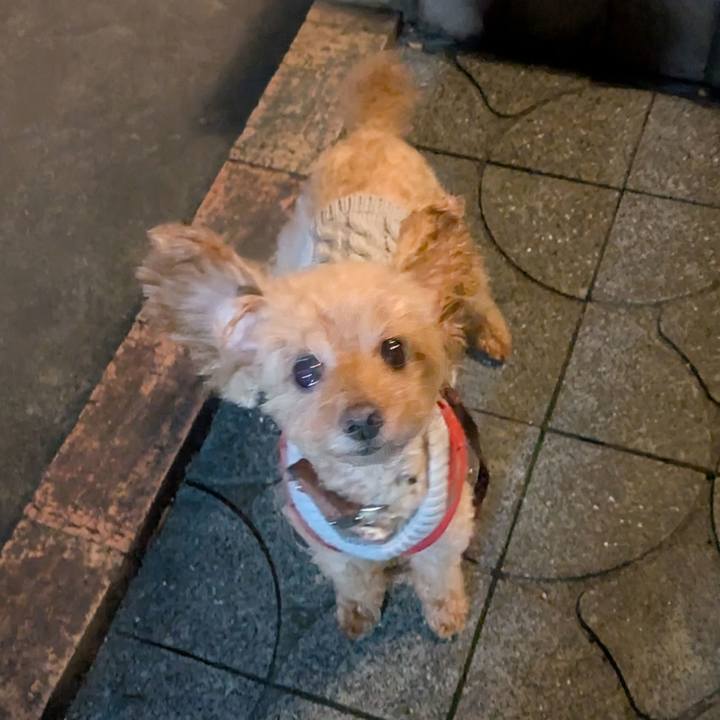 Eef1b825 be0d 455d a549 43489a66c847 1762434077843