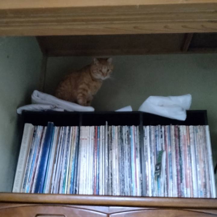 Eef1ca7a 0d2c 4b72 b9a4 054576146bdb 1717975722667