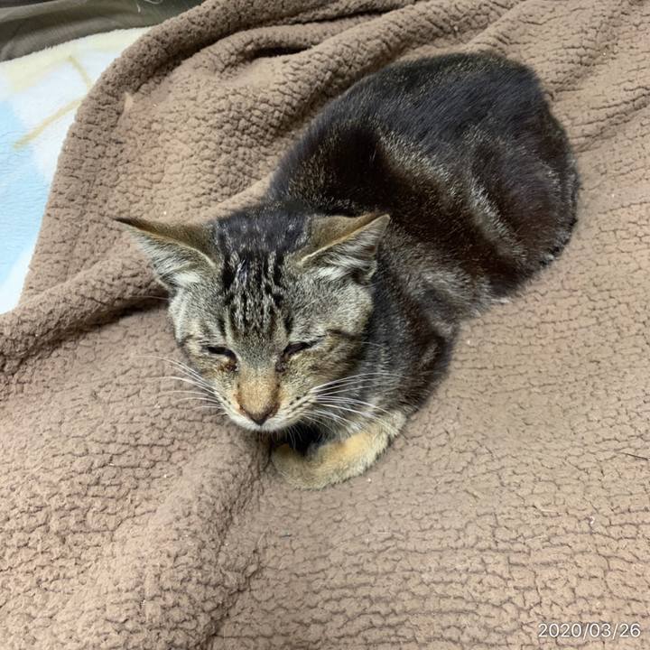 Eef1e116 2d65 46f9 8083 7616b93f90be 1585173825152