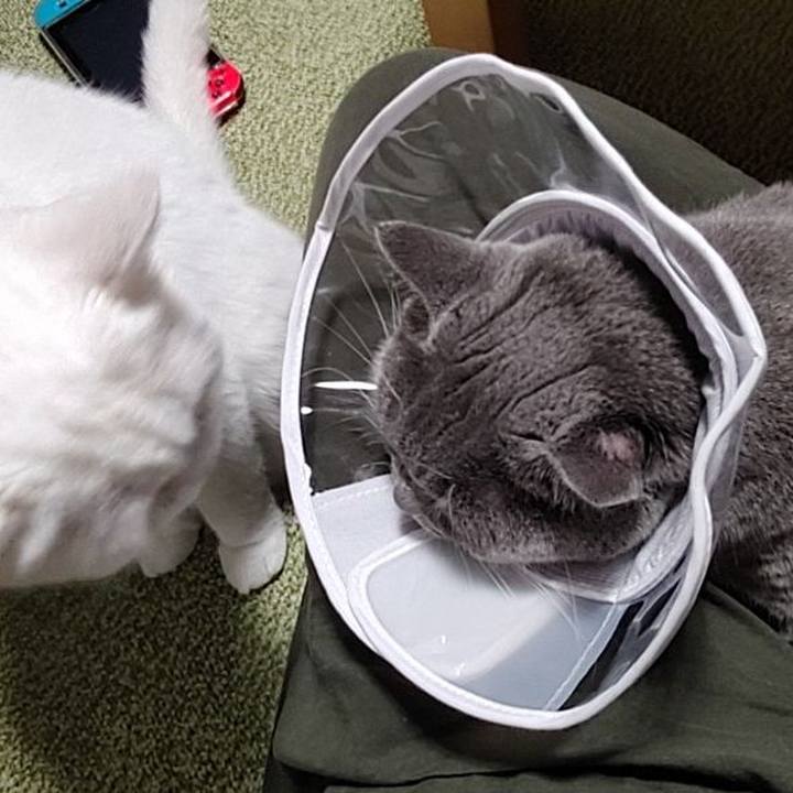 Eef1fc7f 3361 48cc a8ac 9b7949dce8aa 1630747390072