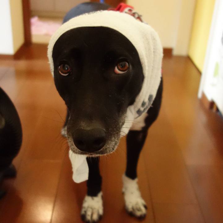 Eef214e1 44d8 4f18 b984 1a415227c832 1647082167044