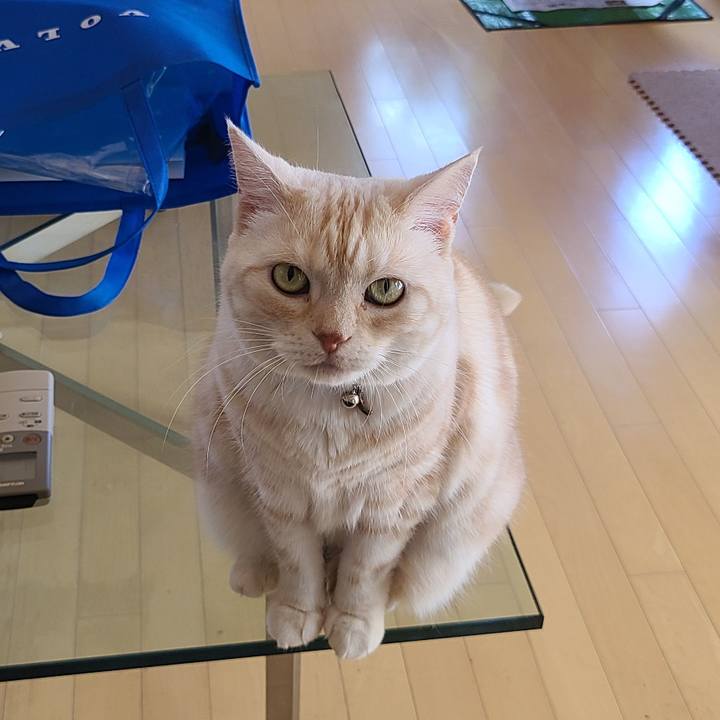 Eef22e22 d871 4e16 8643 0d8b4a9142f1 1601252011472