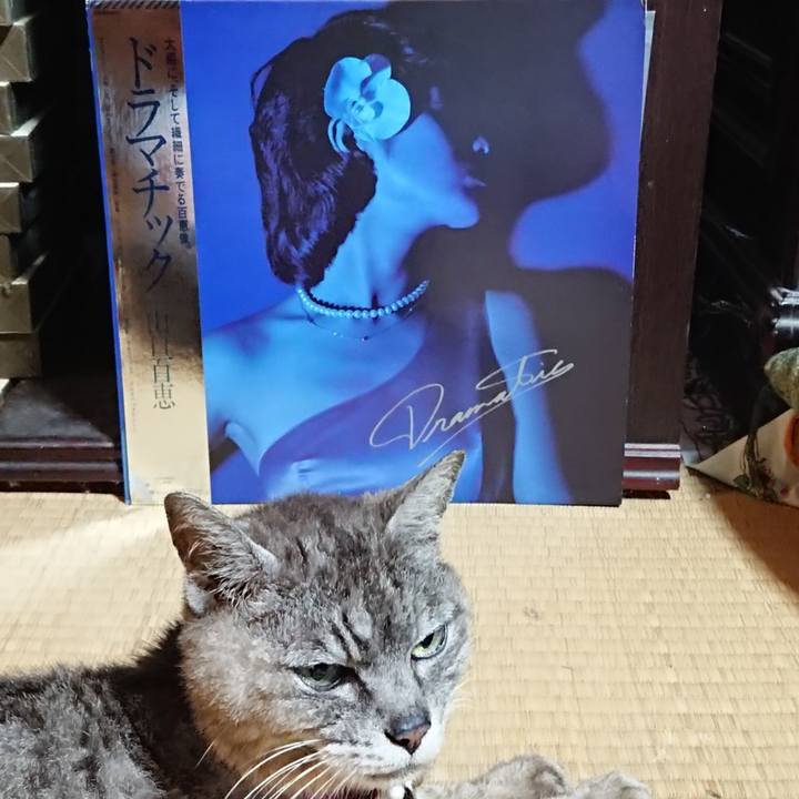 Eef2755c d0f9 4f89 992c 2485b0dfdb98 1598439168699