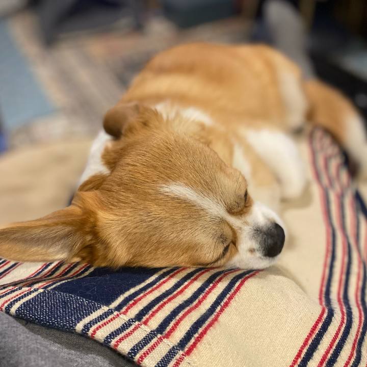 Eef29357 8182 4f1e b5ee a1f5ceb063ca 1671277968147